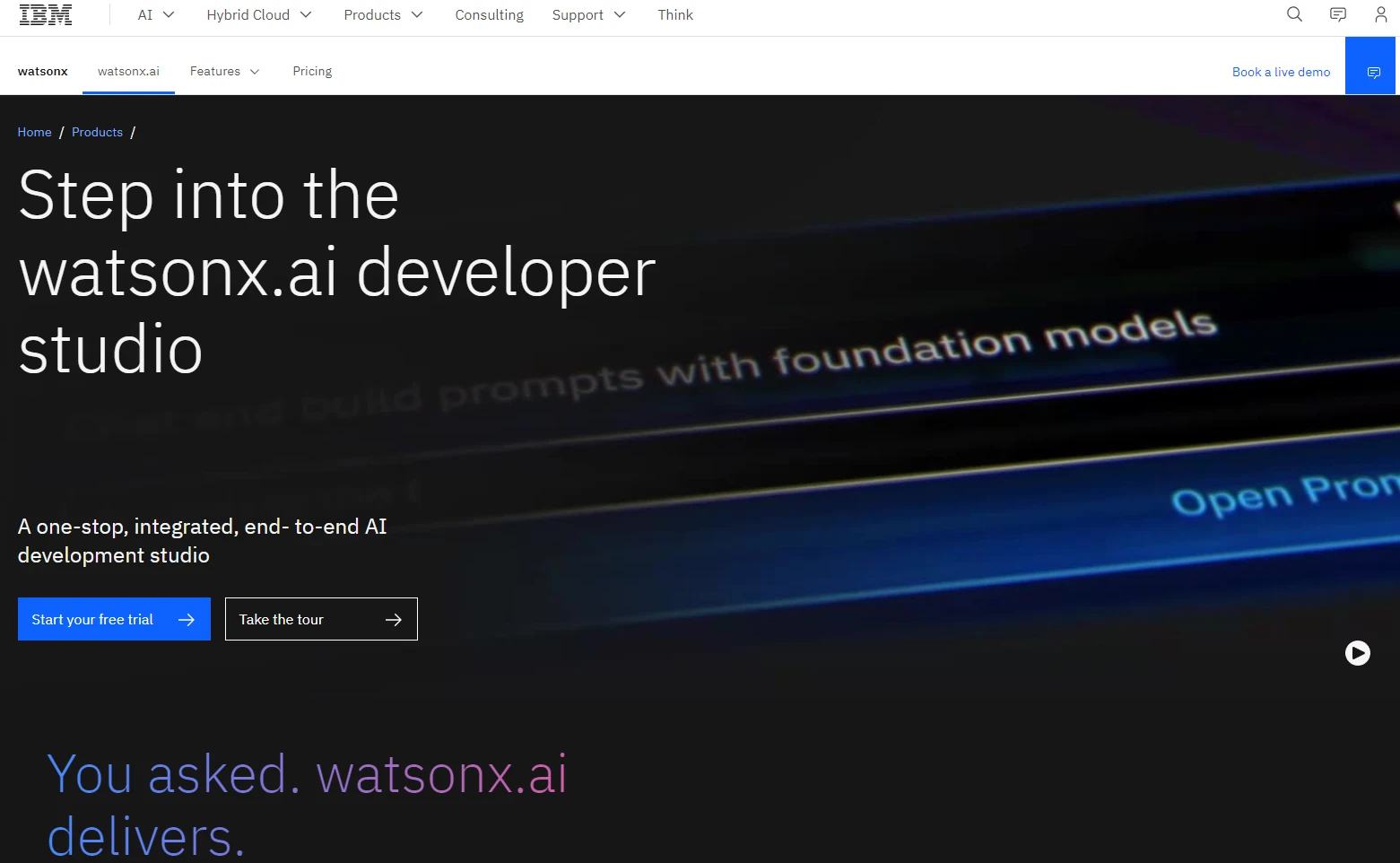 Watsonx.ai