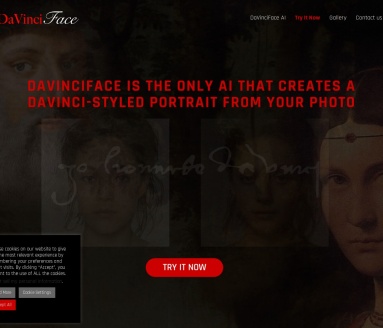 DaVinciFace