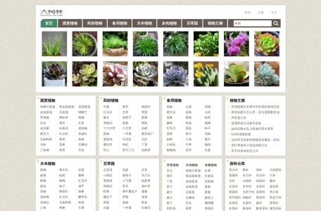 大树林植物网