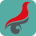 Icon 15