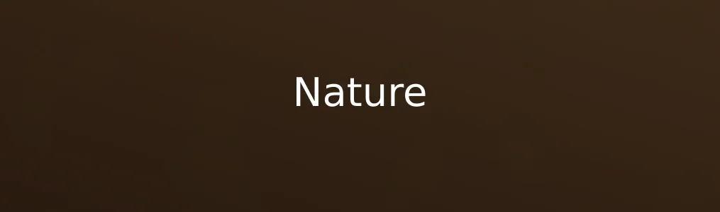 Nature文献检索好不好用?多维度使用测评报告