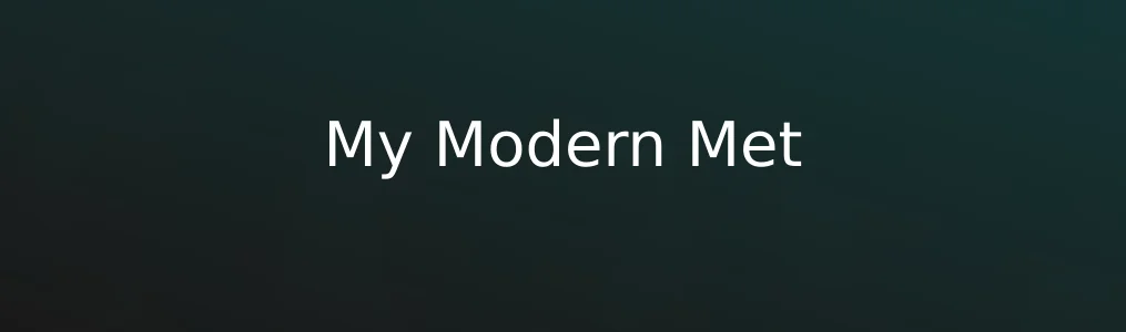 《My Modern Met》体验报告:灵感来源还只是它的一半实力