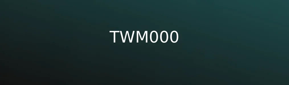 《TWM000》实测:一个干净利落的在线协作利器