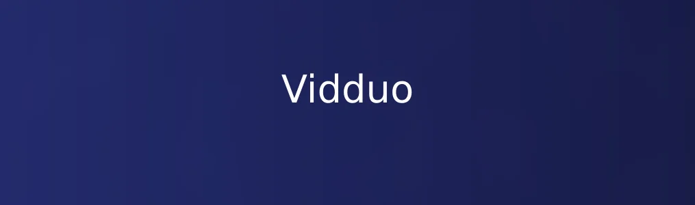 Vidduo深度评测:效率工具中的新锐力量值不值得信赖?