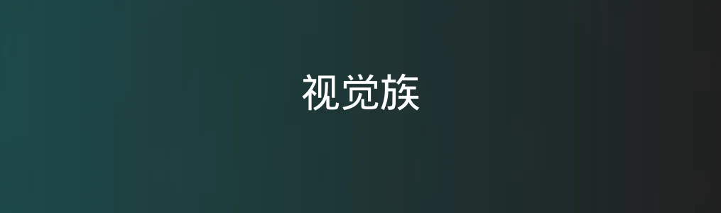 此次测评对象视觉族
