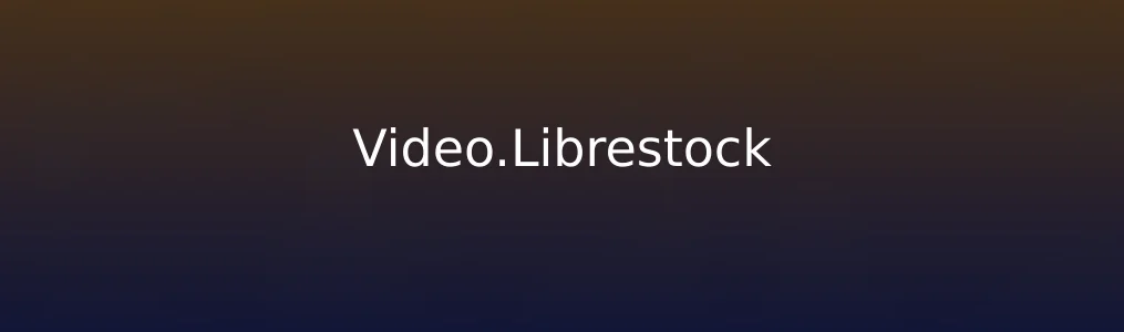 此次测评对象Video.Librestock
