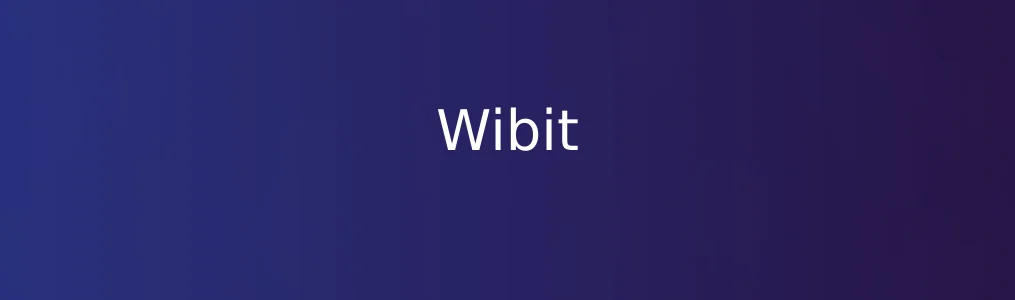 Wibit深度体验:轻巧工具为何意外成了效率利器？