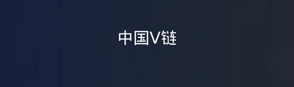 中国V链特色图片