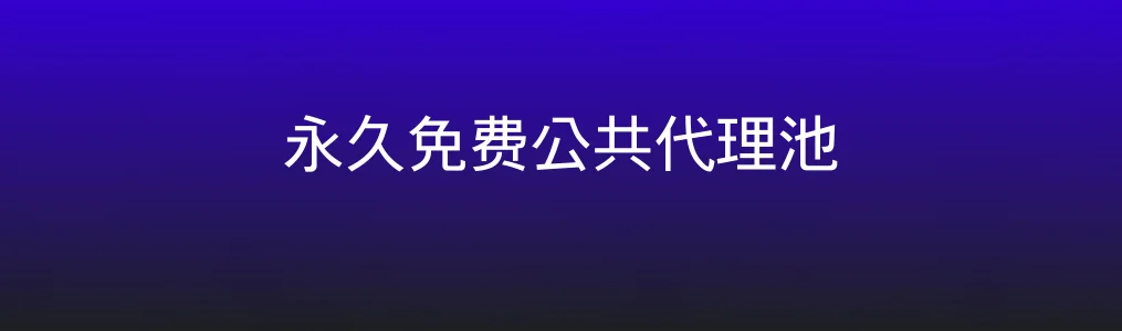 永久免费公共代理池特色图片