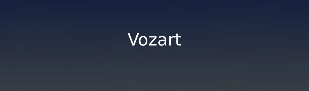 Vozart特色图片