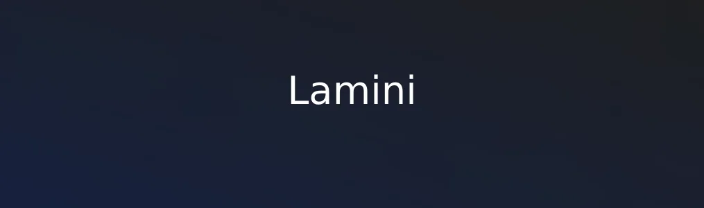 Lamini特色图片