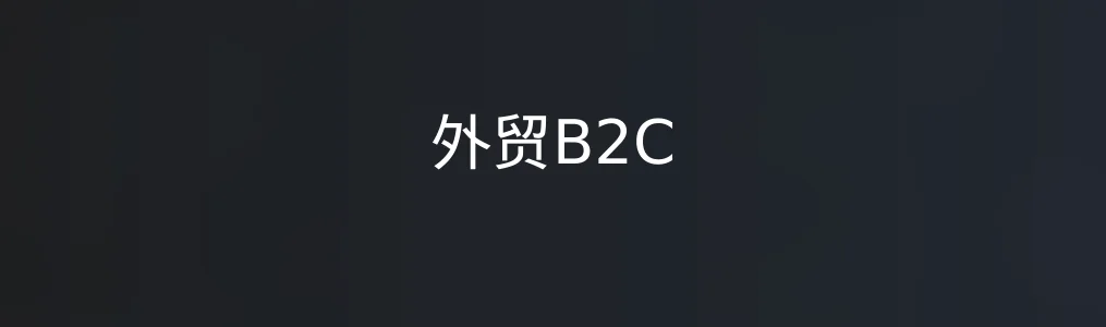 外贸B2C特色图片