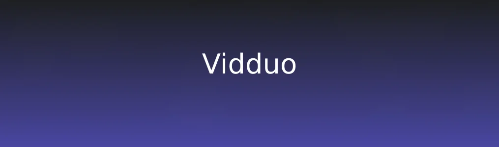 Vidduo特色图片
